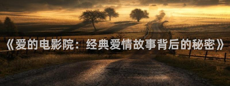 第九电影免费版在线播放：《爱的电影院：经典爱情故事背后的秘密》