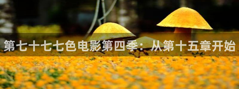 第九电影院午夜理论