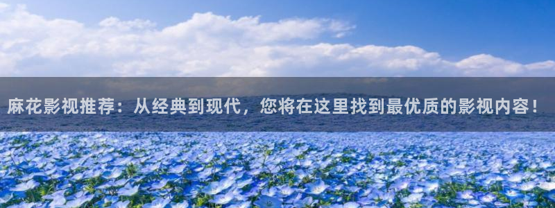 新视觉第九影院：麻花影视推荐：从经典到现代，您将在这里找到最优质的影视内容！