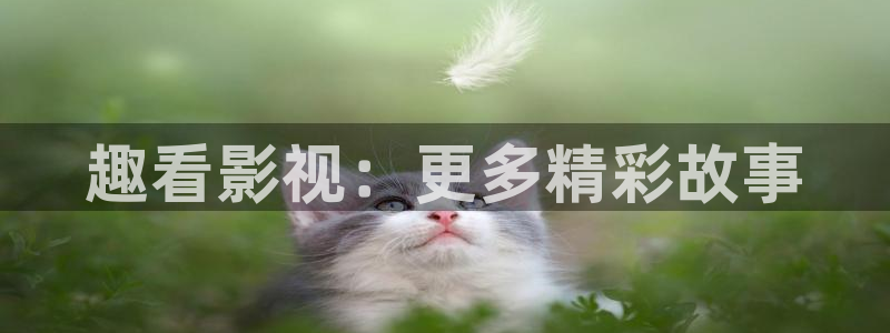第九影院.：趣看影视：更多精彩故事