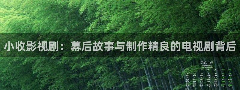 第九影院免费观看完整版：小收影视剧：幕后故事与制作精良的电视剧背后