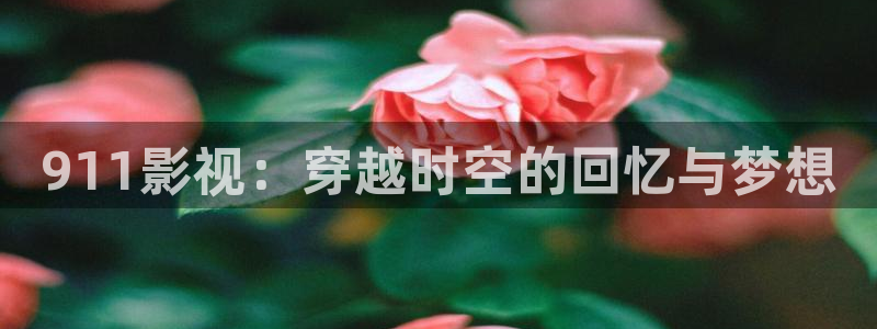 第九影院神马影院：911影视：穿越时空的回忆与梦想