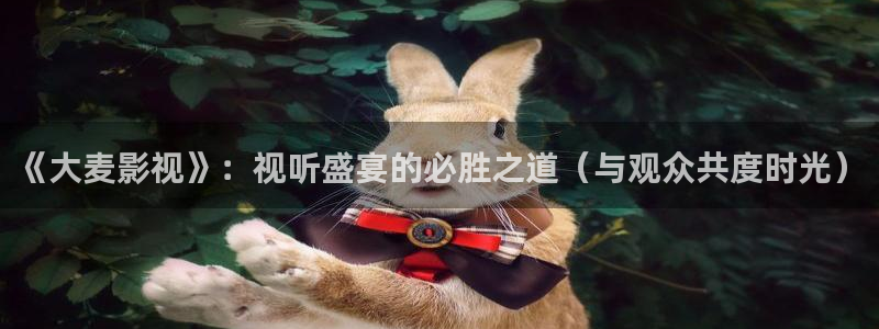 韩国第九影院：《大麦影视》：视听盛宴的必胜之道（与观众共度时光）