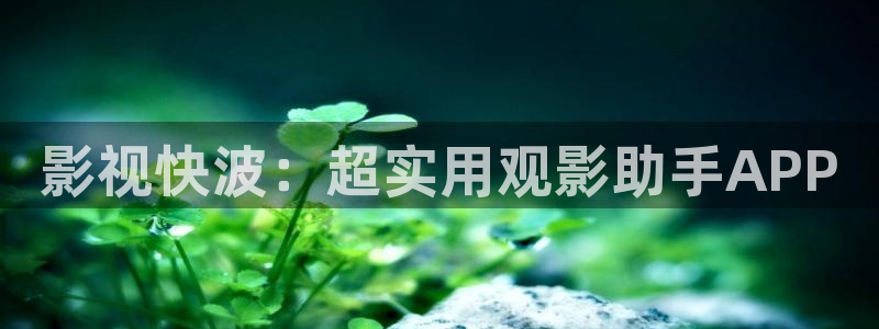 神马影院 第九：影视快波：超实用观影助手APP