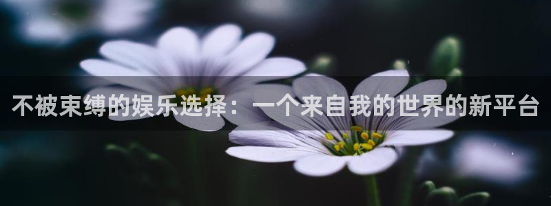 第九超神达达兔影院