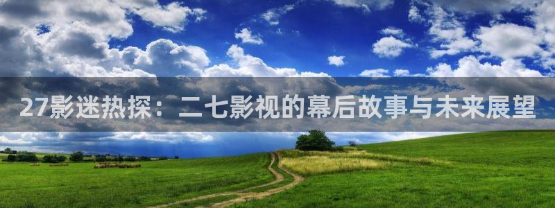 第九电影院免费观看：27影迷热探：二七影视的幕后故事与未来展望