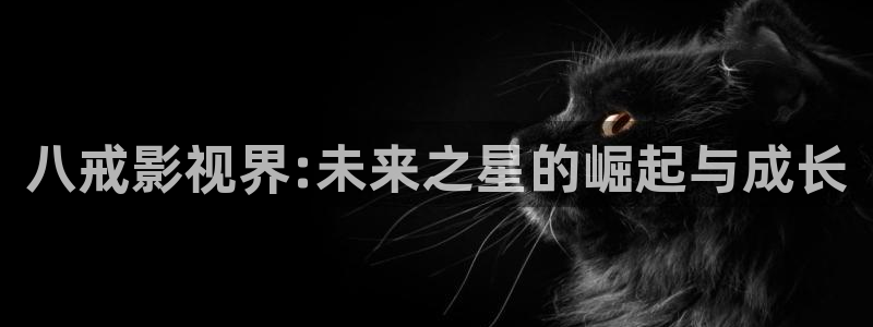 神马影院第九天天影院：八戒影视界:未来之星的崛起与成长