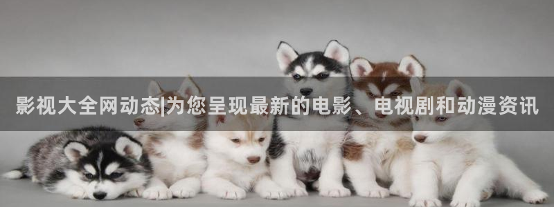 花花第九影院：影视大全网动态|为您呈现最新的电影、电视剧和动漫资讯