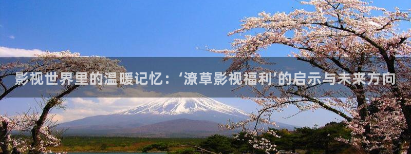 老a第九影院：影视世界里的温暖记忆：‘潦草影视福利’的启示与未来方向